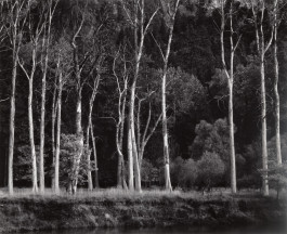 Atlas of Landscapes in a Room