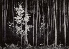 Atlas of Landscapes in a Room