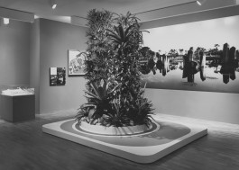 Atlas of Landscapes in a Room