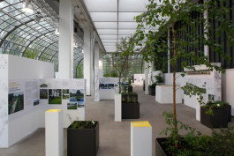 Atlas of Landscapes in a Room