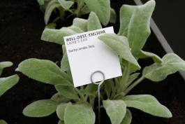 Atlas of Landscapes in a Room