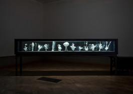 Atlas of Landscapes in a Room