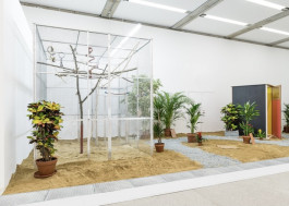 Atlas of Landscapes in a Room