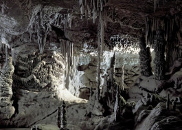 Atlas of Landscapes in a Room