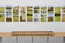 Atlas of Landscapes in a Room