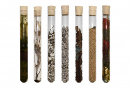 Atlas of Landscapes in a Room