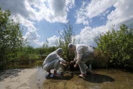 Atlas of Landscapes in a Room