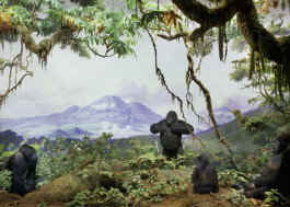 Atlas of Landscapes in a Room