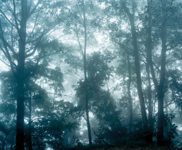 Atlas of Landscapes in a Room