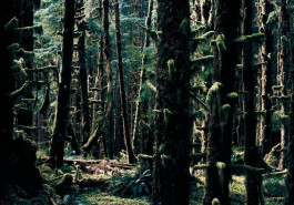 Atlas of Landscapes in a Room