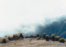 Atlas of Landscapes in a Room