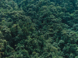 Atlas of Landscapes in a Room