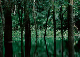 Atlas of Landscapes in a Room