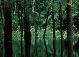 Atlas of Landscapes in a Room