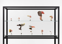 Atlas of Landscapes in a Room