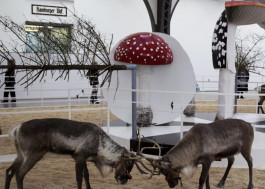 Atlas of Landscapes in a Room