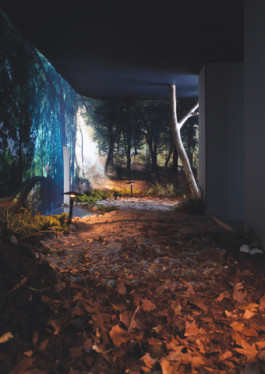 Atlas of Landscapes in a Room