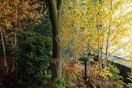 Atlas of Landscapes in a Room