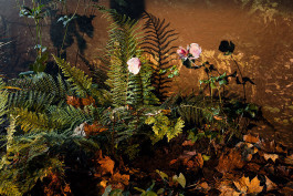 Atlas of Landscapes in a Room