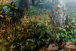 Atlas of Landscapes in a Room