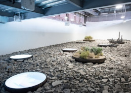 Atlas of Landscapes in a Room