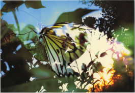 Atlas of Landscapes in a Room