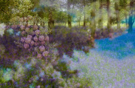 Atlas of Landscapes in a Room