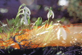 Atlas of Landscapes in a Room