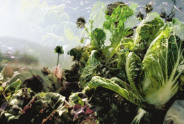 Atlas of Landscapes in a Room