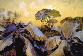 Atlas of Landscapes in a Room