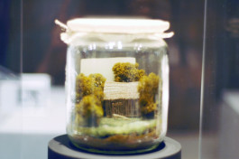 Atlas of Landscapes in a Room