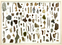 Atlas of Landscapes in a Room