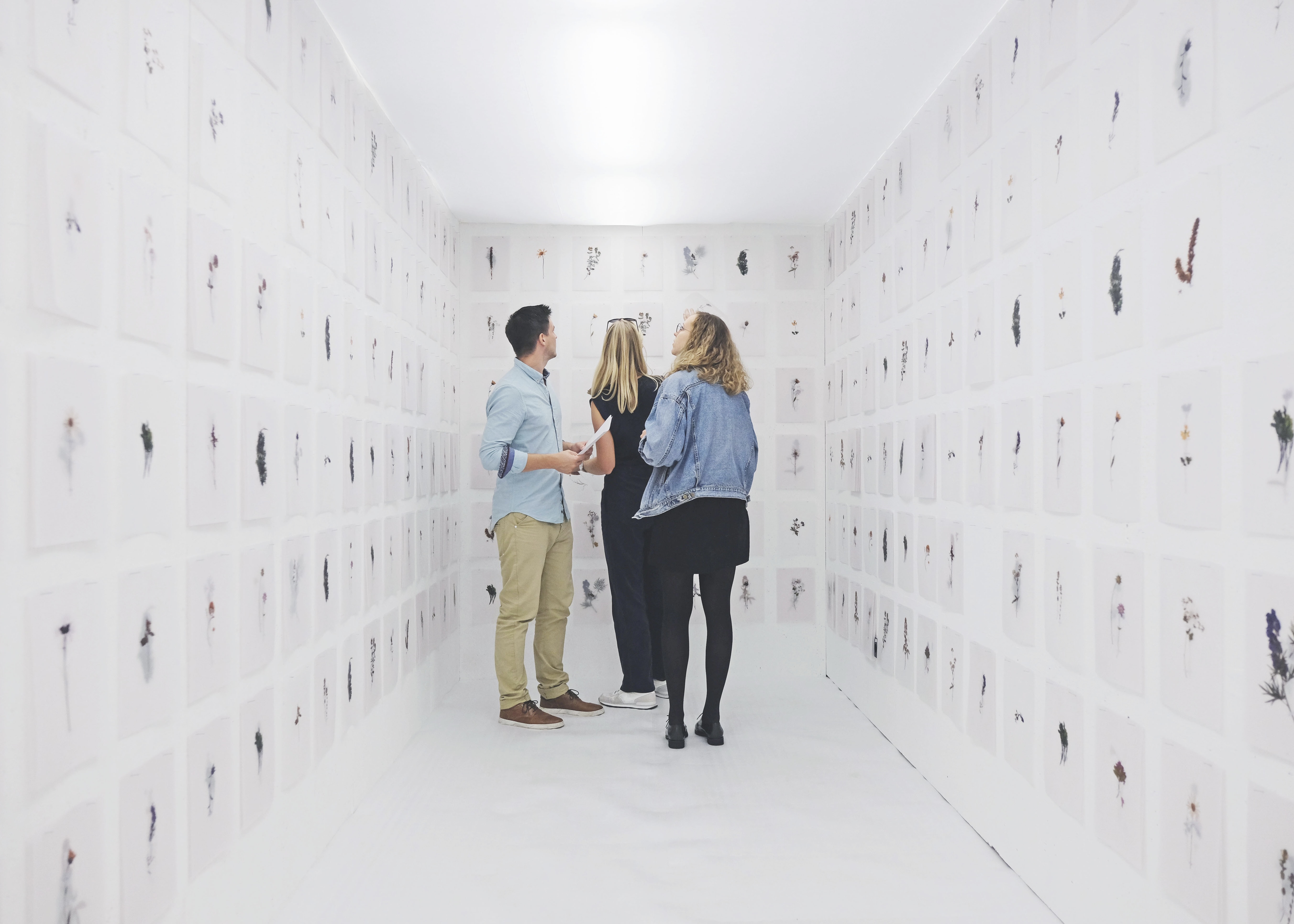 Atlas of Landscapes in a Room