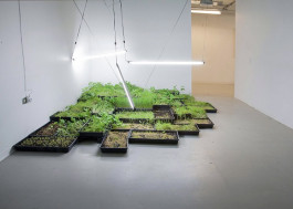 Atlas of Landscapes in a Room