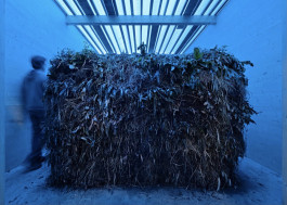 Atlas of Landscapes in a Room