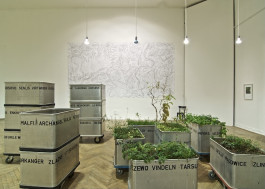 Atlas of Landscapes in a Room