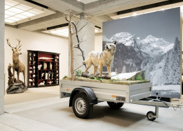 Atlas of Landscapes in a Room