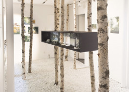 Atlas of Landscapes in a Room