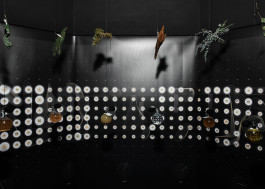 Atlas of Landscapes in a Room