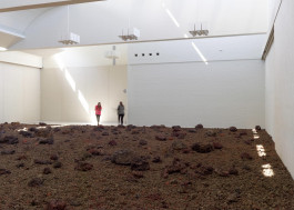 Atlas of Landscapes in a Room