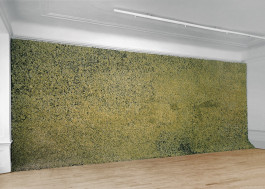 Atlas of Landscapes in a Room