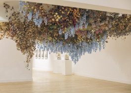 Atlas of Landscapes in a Room