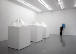 Atlas of Landscapes in a Room