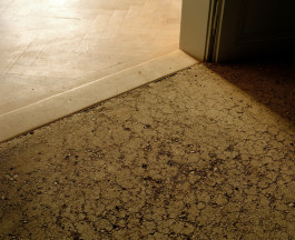 Atlas of Landscapes in a Room