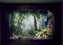 Atlas of Landscapes in a Room