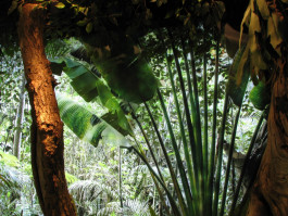 Atlas of Landscapes in a Room