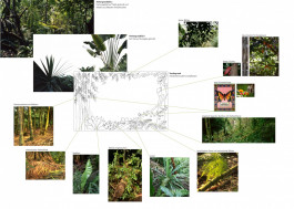 Atlas of Landscapes in a Room