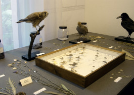 Atlas of Landscapes in a Room