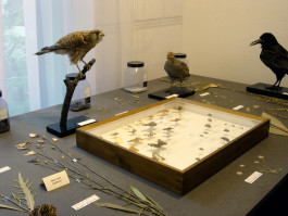 Atlas of Landscapes in a Room