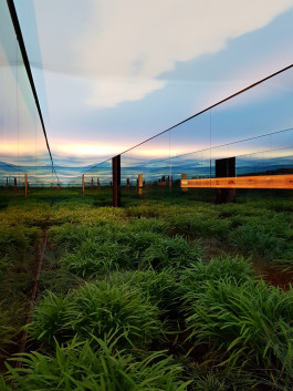 Atlas of Landscapes in a Room